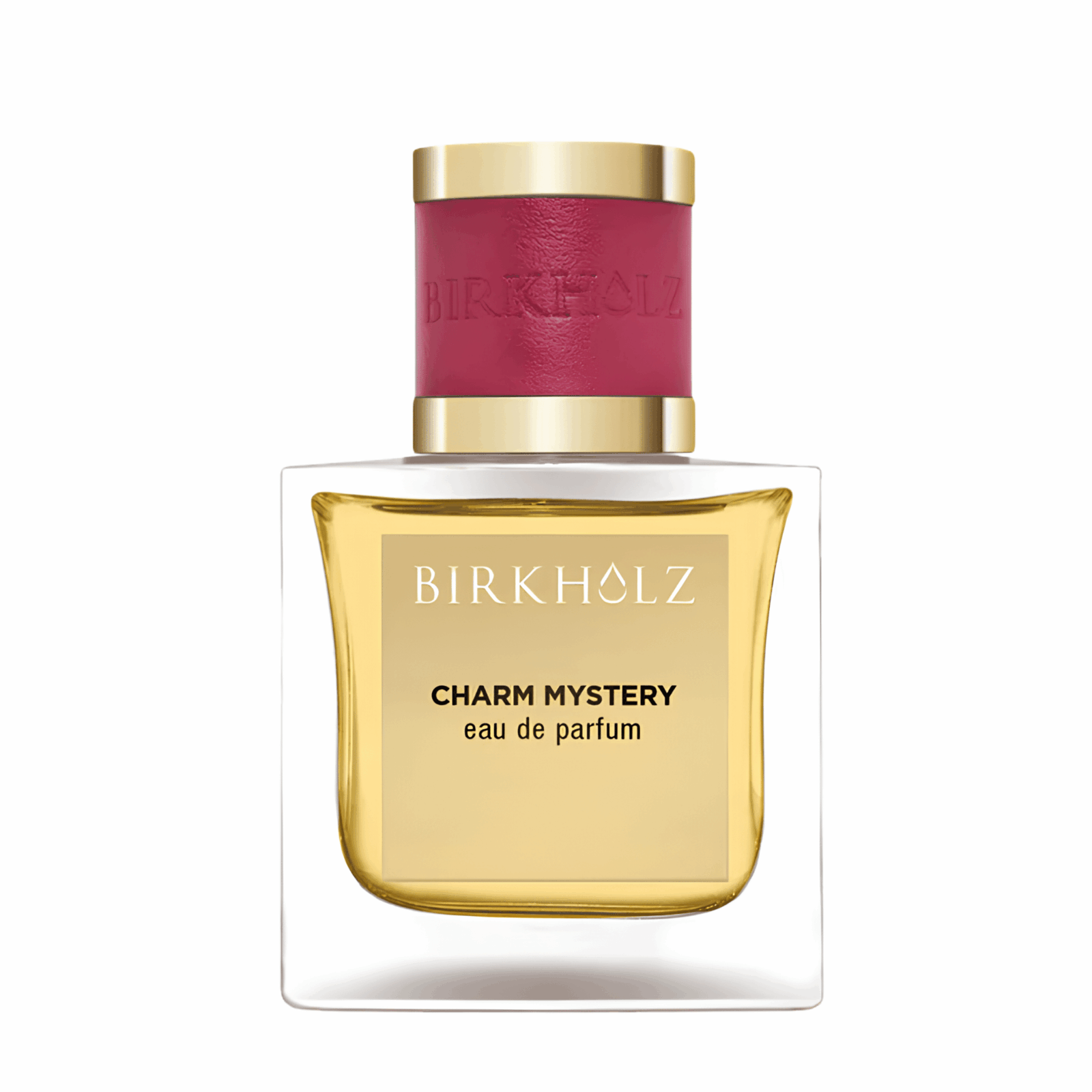 CHARM MYSTERY BIRKHOLZ