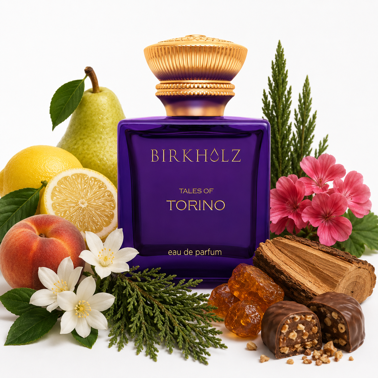 TALES OF TORINO BIRKHOLZ