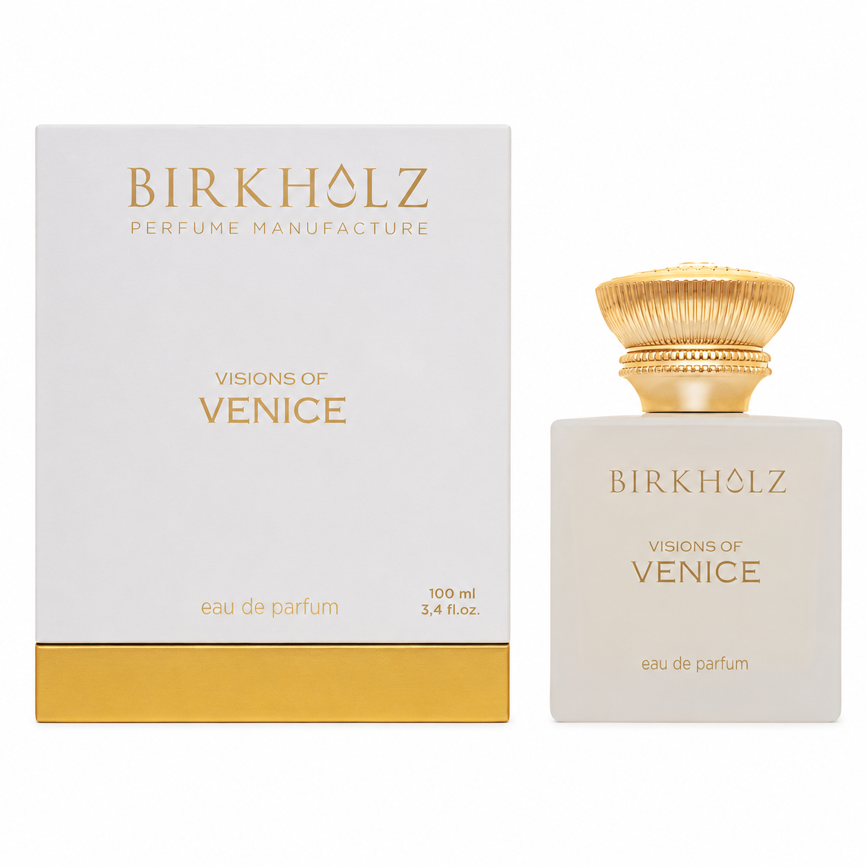VISIONS OF VENICE BIRKHOLZ