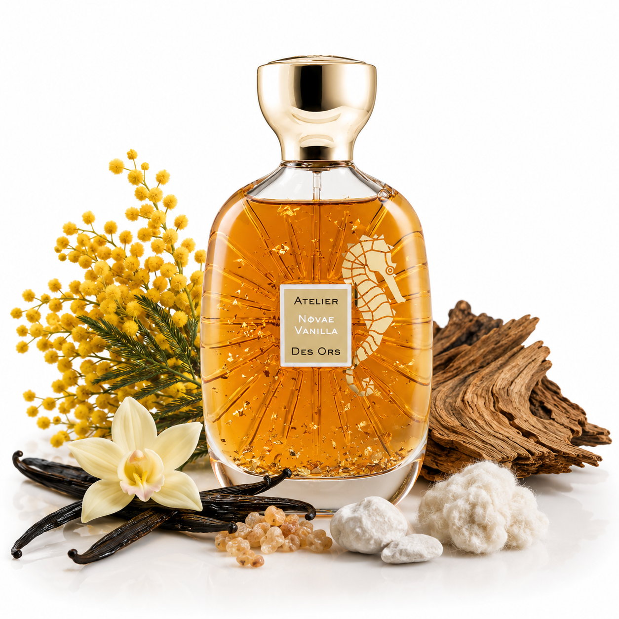 NOVAE VANILLA ATELIER DES ORS