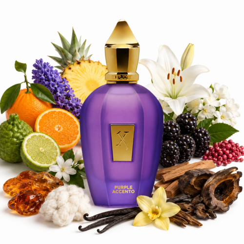 PURPLE ACCENTO XERJOFF